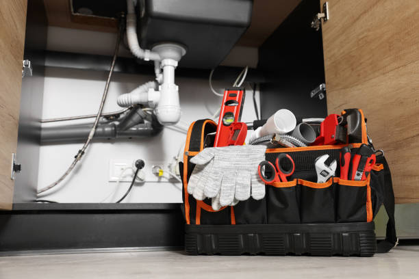 Best Plumbing Inspection Services  in Auburndale, FL